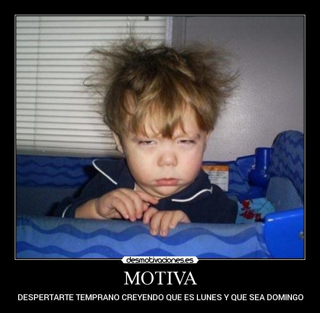 MOTIVA - 