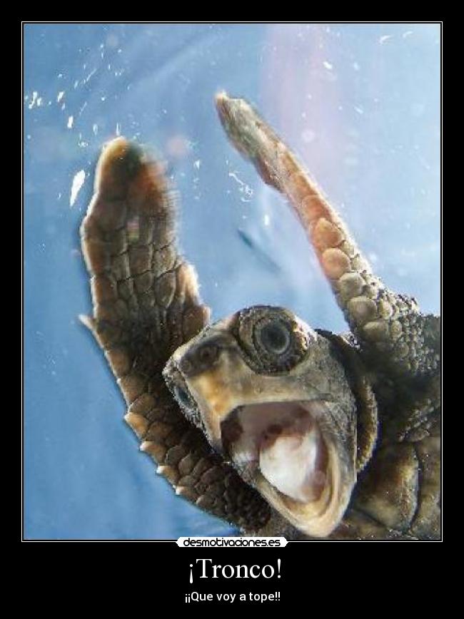 ¡Tronco! -