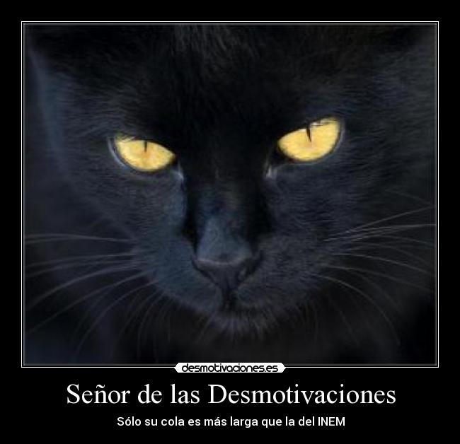Señor de las Desmotivaciones - 