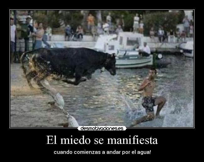 El miedo se manifiesta - cuando comienzas a andar por el agua!