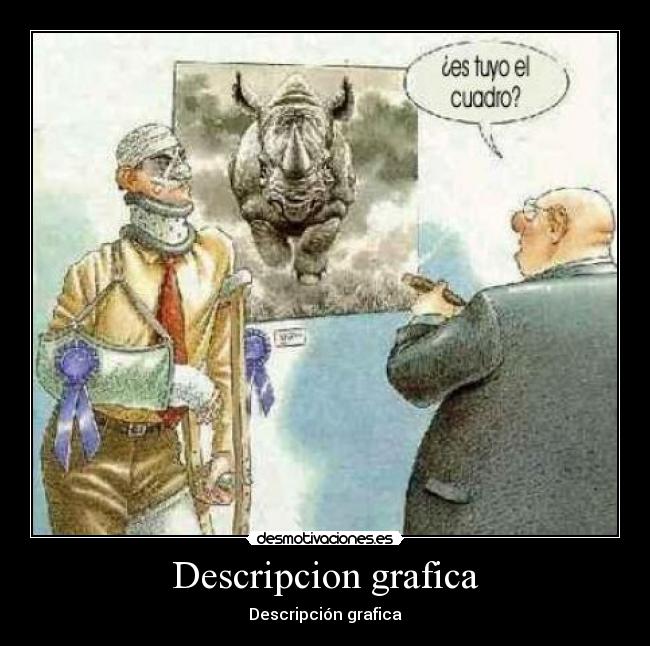 Descripcion grafica - Descripción grafica