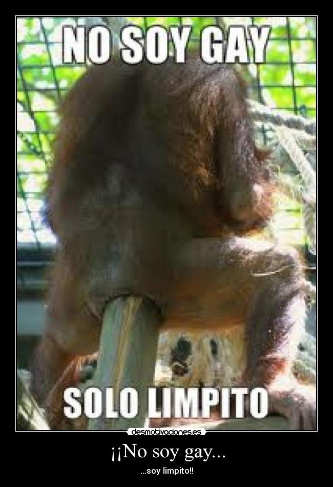 ¡¡No soy gay... - ...soy limpito!!