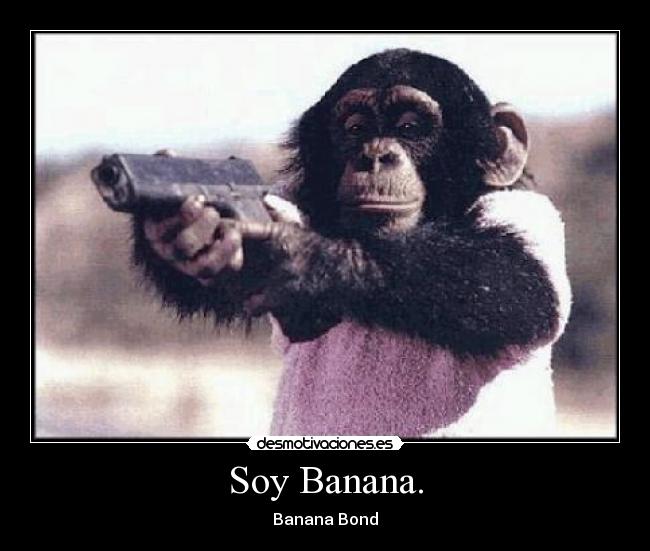 Soy Banana. - Banana Bond