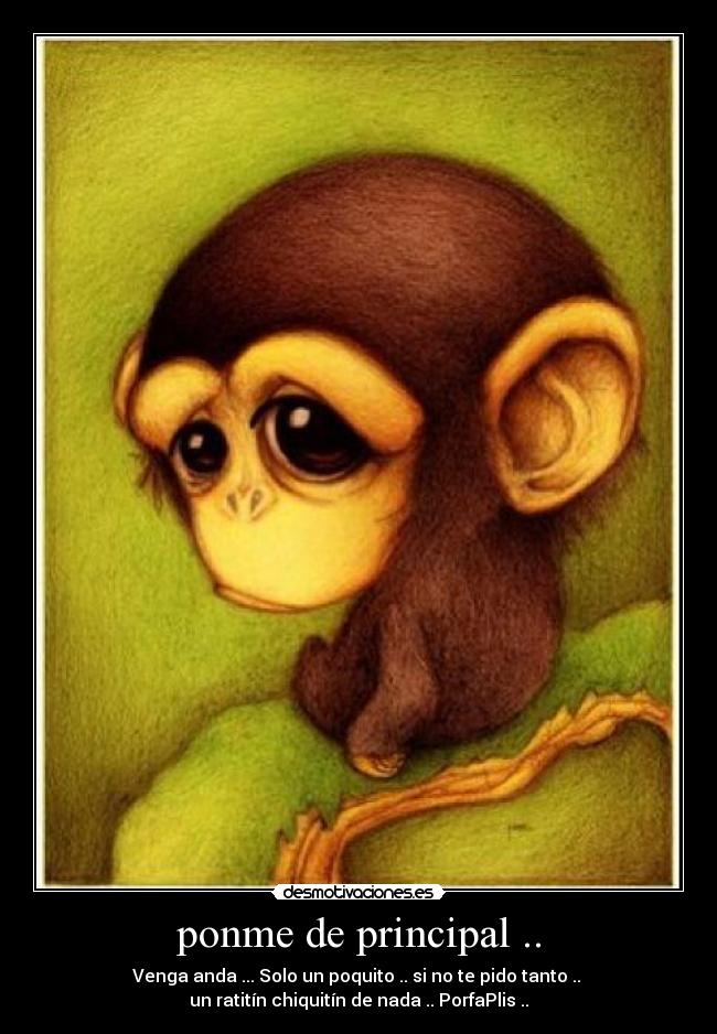 ponme de principal .. - 