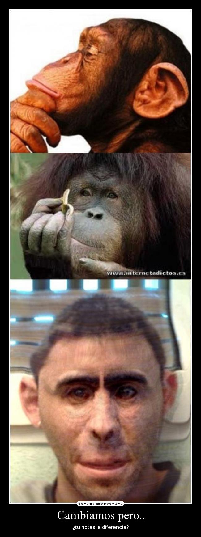 Cambiamos pero.. -