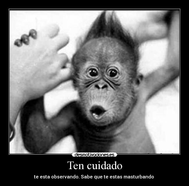 carteles desmotivaciones