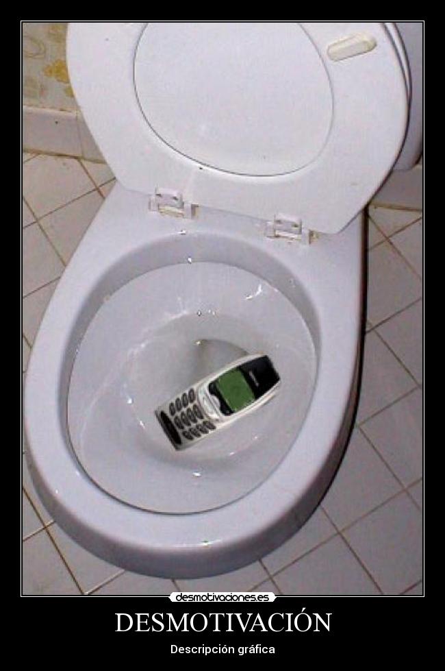 DESMOTIVACIÓN - Descripción gráfica