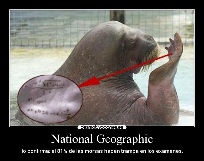 National Geographic -