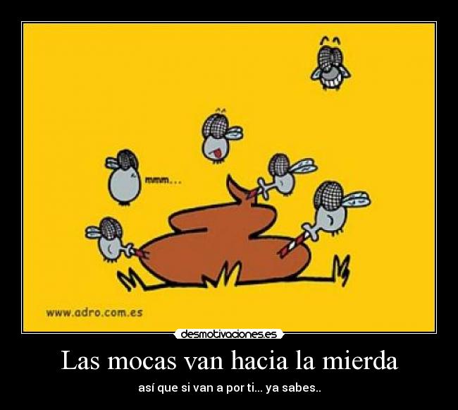carteles moscas desmotivaciones