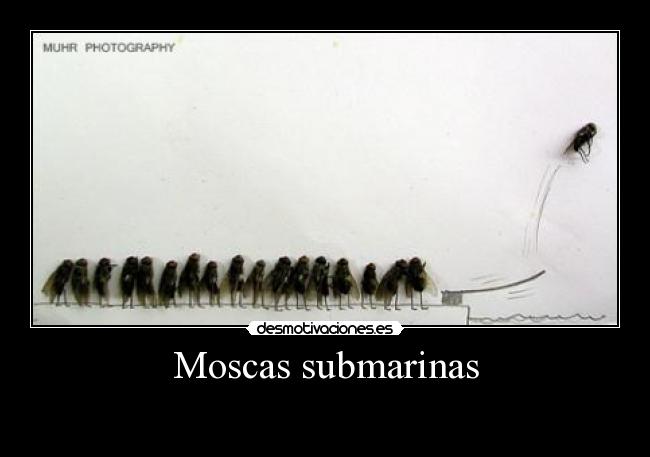 Moscas submarinas - 