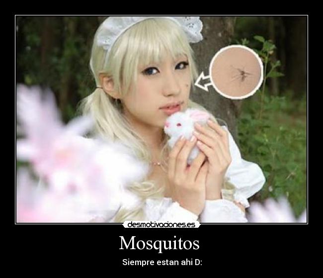 Mosquitos  - 