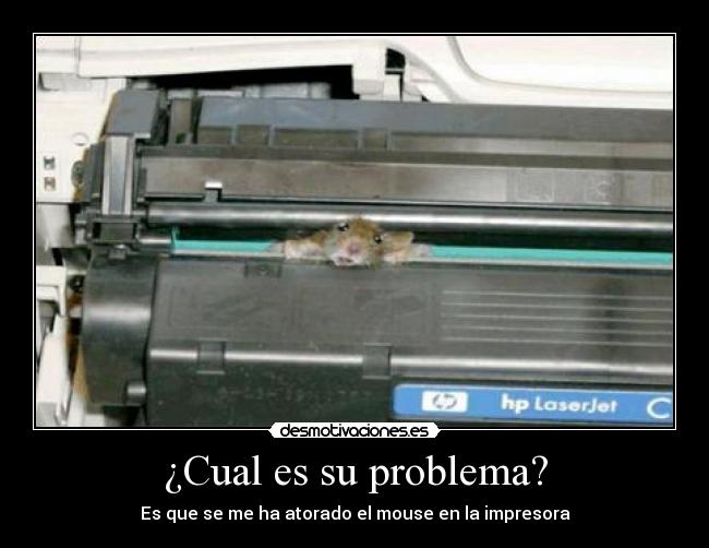 carteles malango desmotivaciones