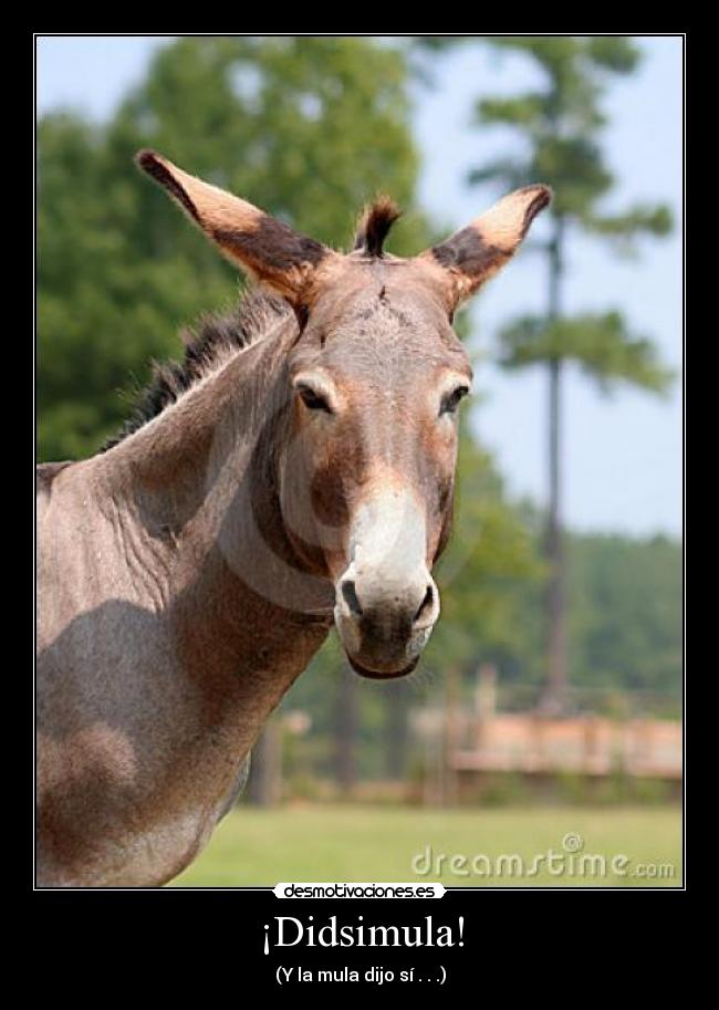 carteles sofoni desmotivaciones