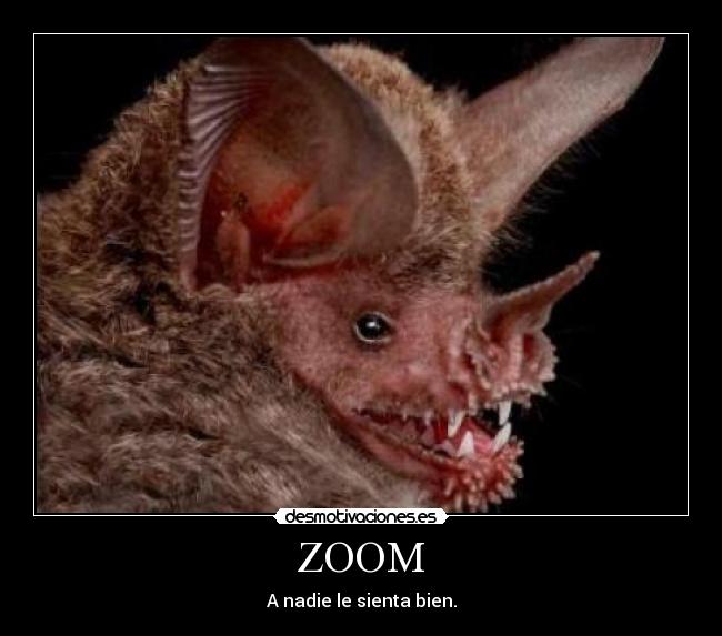 ZOOM - A nadie le sienta bien.