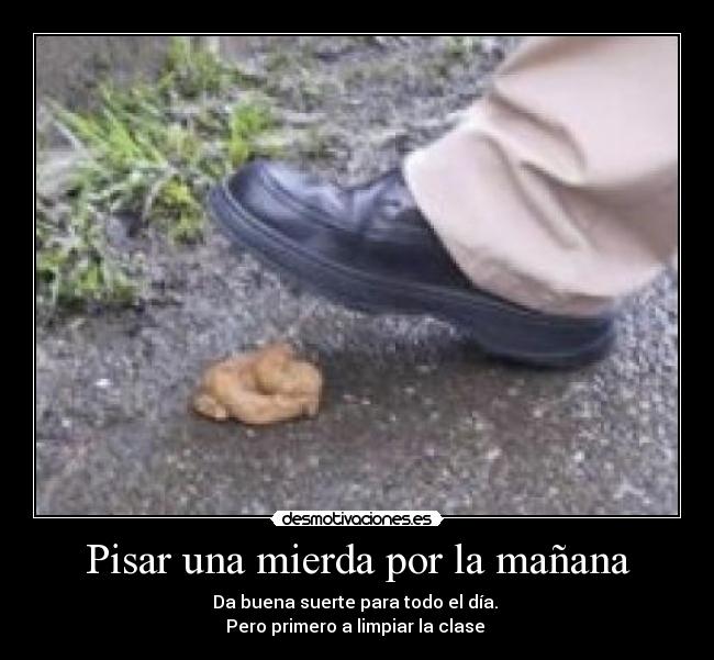 Pisar una mierda por la mañana - 