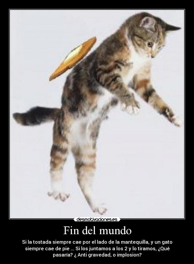 Fin del mundo - Si la tostada siempre cae por el lado de la mantequilla, y un gato
siempre cae de pie ... Si los juntamos a los 2 y lo tiramos, ¿Qué
pasaría? ¿ Anti gravedad, o implosion?