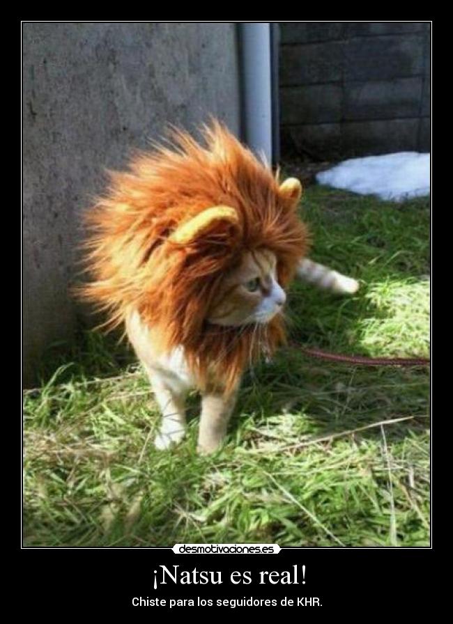 ¡Natsu es real! - 