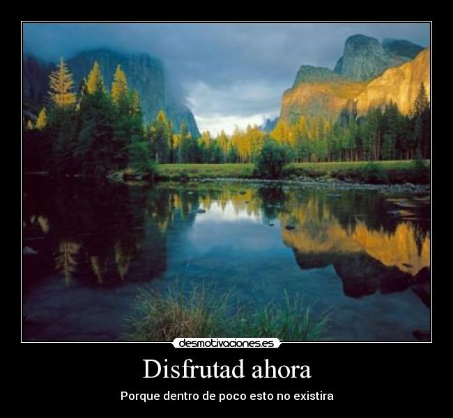 Disfrutad ahora -