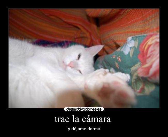 trae la cámara - y déjame dormir