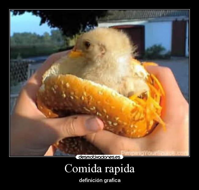 Comida rapida - 