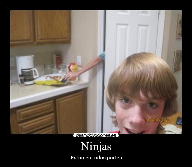 Ninjas - Estan en todas partes