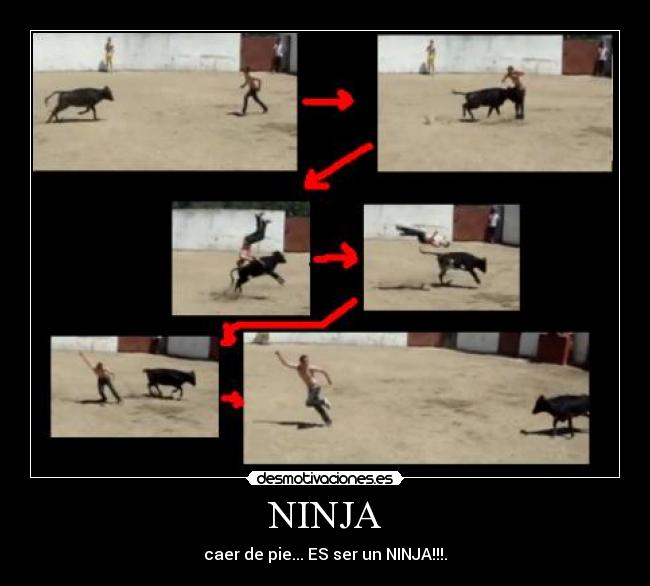 NINJA - 