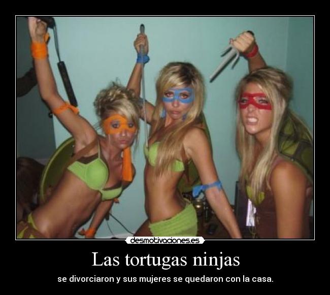 carteles tortugas ninjas divorcio casa nandokun desmotivaciones