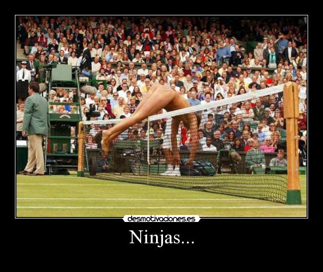 Ninjas... -