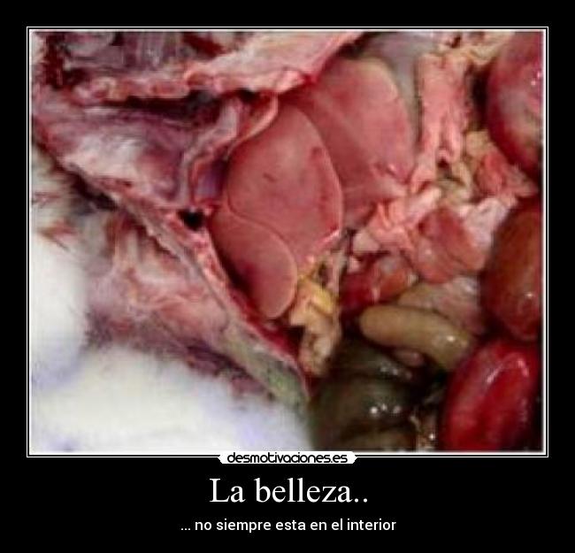 La belleza.. -