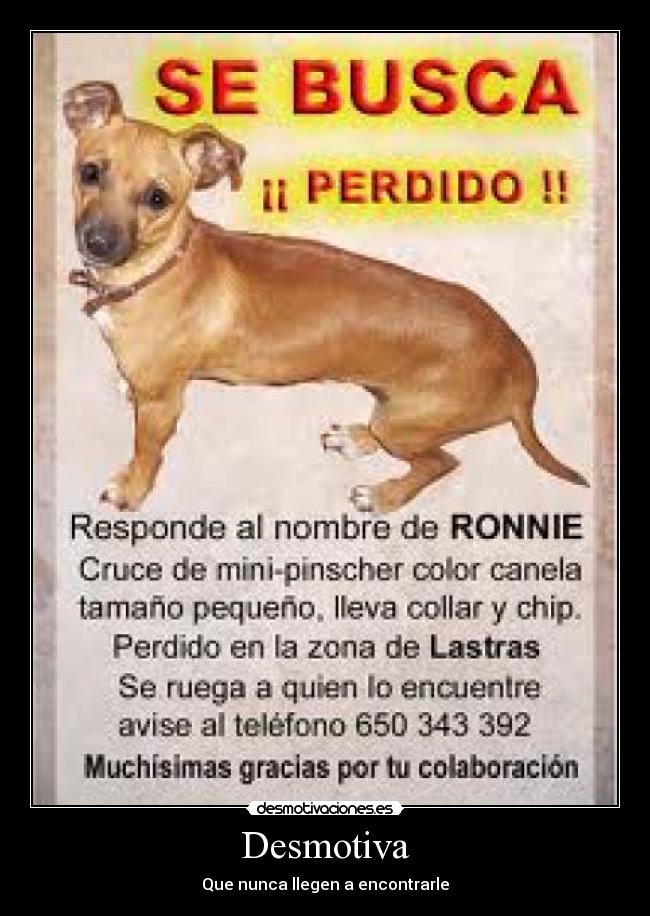 Desmotiva - Que nunca llegen a encontrarle