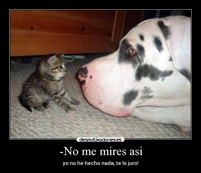 -No me mires asi -