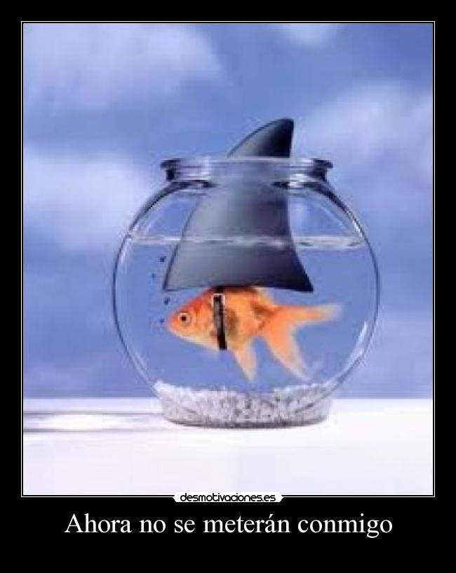 Ahora no se meterán conmigo -
