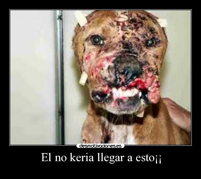 El no keria llegar a esto¡¡ - 