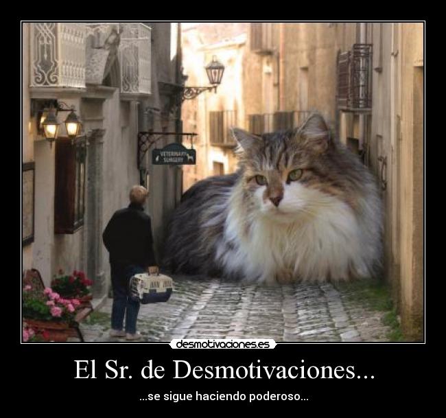 El Sr. de Desmotivaciones... - ...se sigue haciendo poderoso...