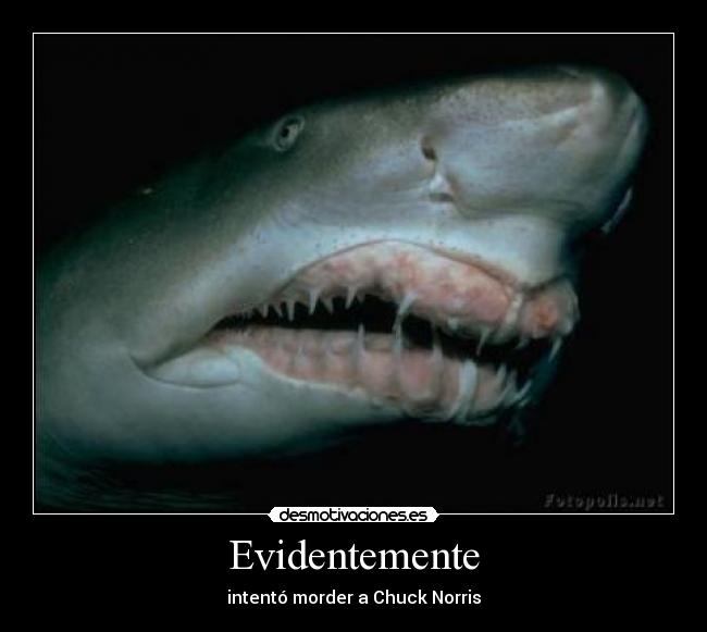Evidentemente -