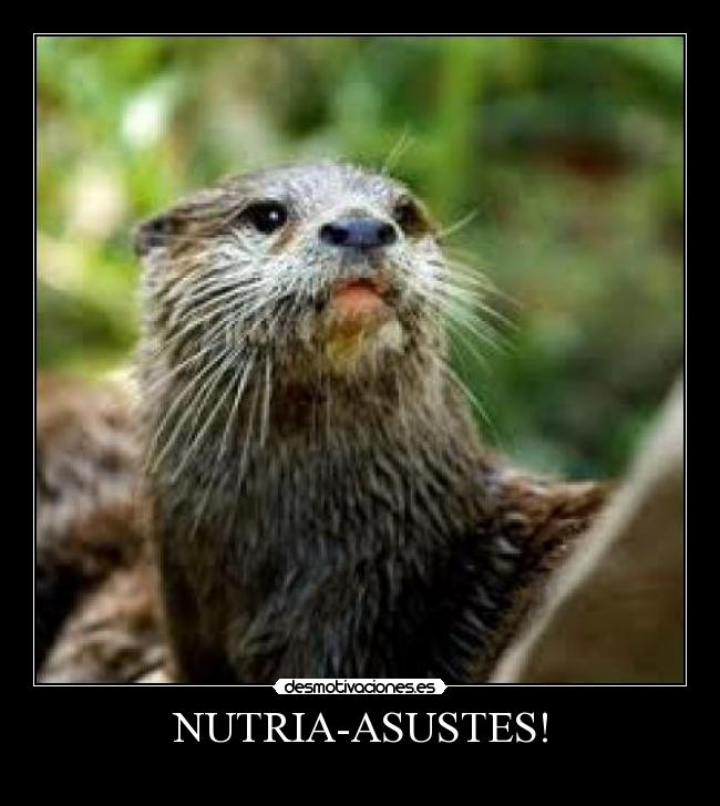 NUTRIA-ASUSTES! - 