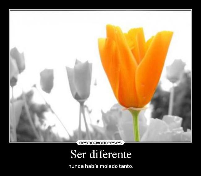 Ser diferente -