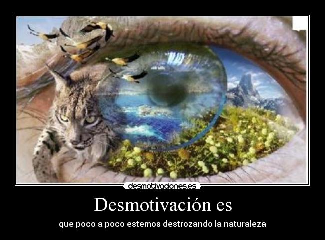 Desmotivación es - 