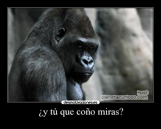 ¿y tú que coño miras? -