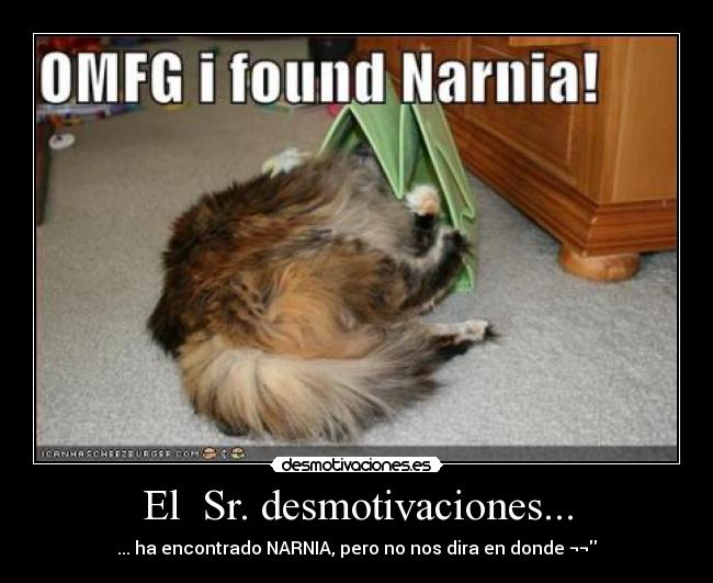 carteles desmotivaciones sr desmotivaciones narnia desmotivaciones