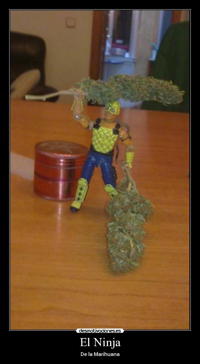 El Ninja - De la Marihuana