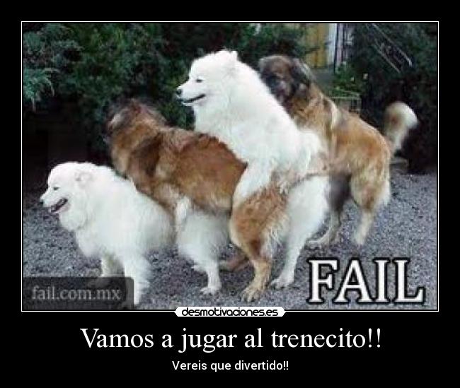 carteles perros fail desmotivaciones