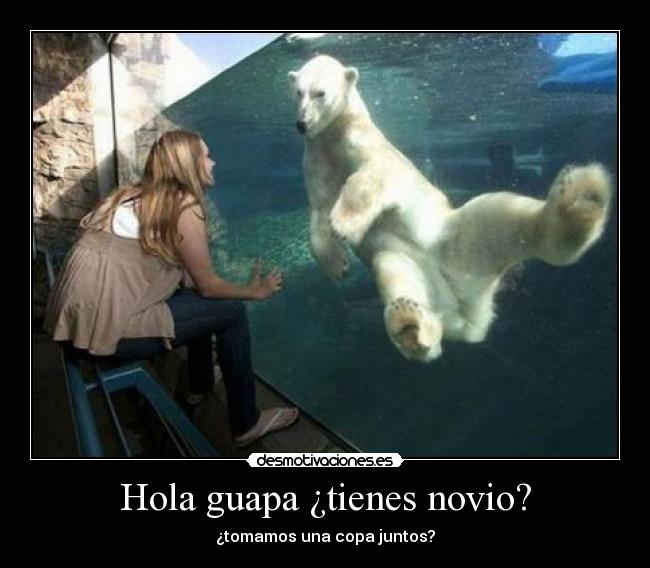 Hola guapa ¿tienes novio? - ¿tomamos una copa juntos?