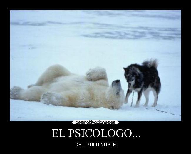EL PSICOLOGO... - DEL POLO NORTE