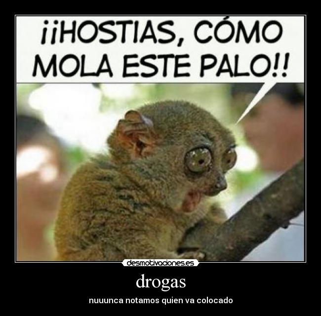 drogas -
