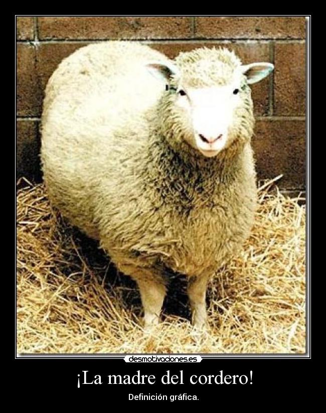 ¡La madre del cordero! - Definición gráfica.