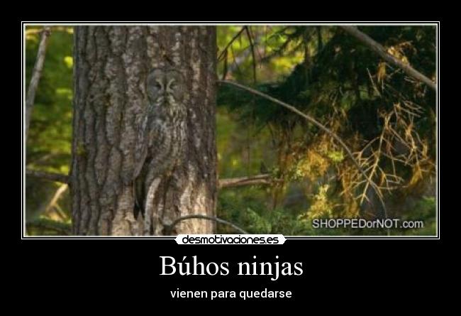 carteles kikex92 desmotivaciones