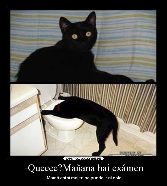 -Queeee?Mañana hai exámen -