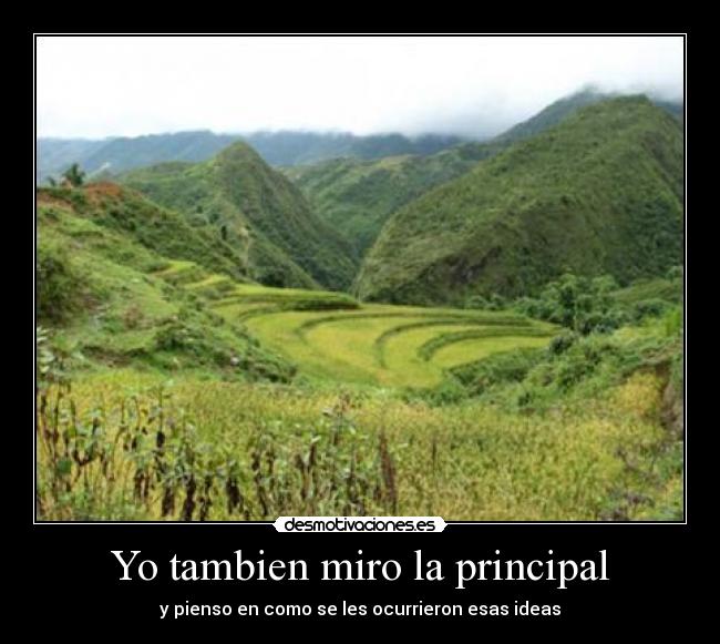 carteles principal ideas desmotivaciones