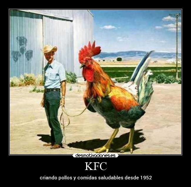 KFC -